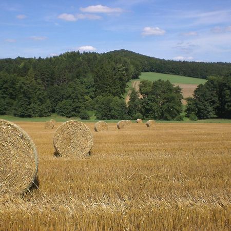 Ferienhof An Der Lay Kerpen  Exterior foto