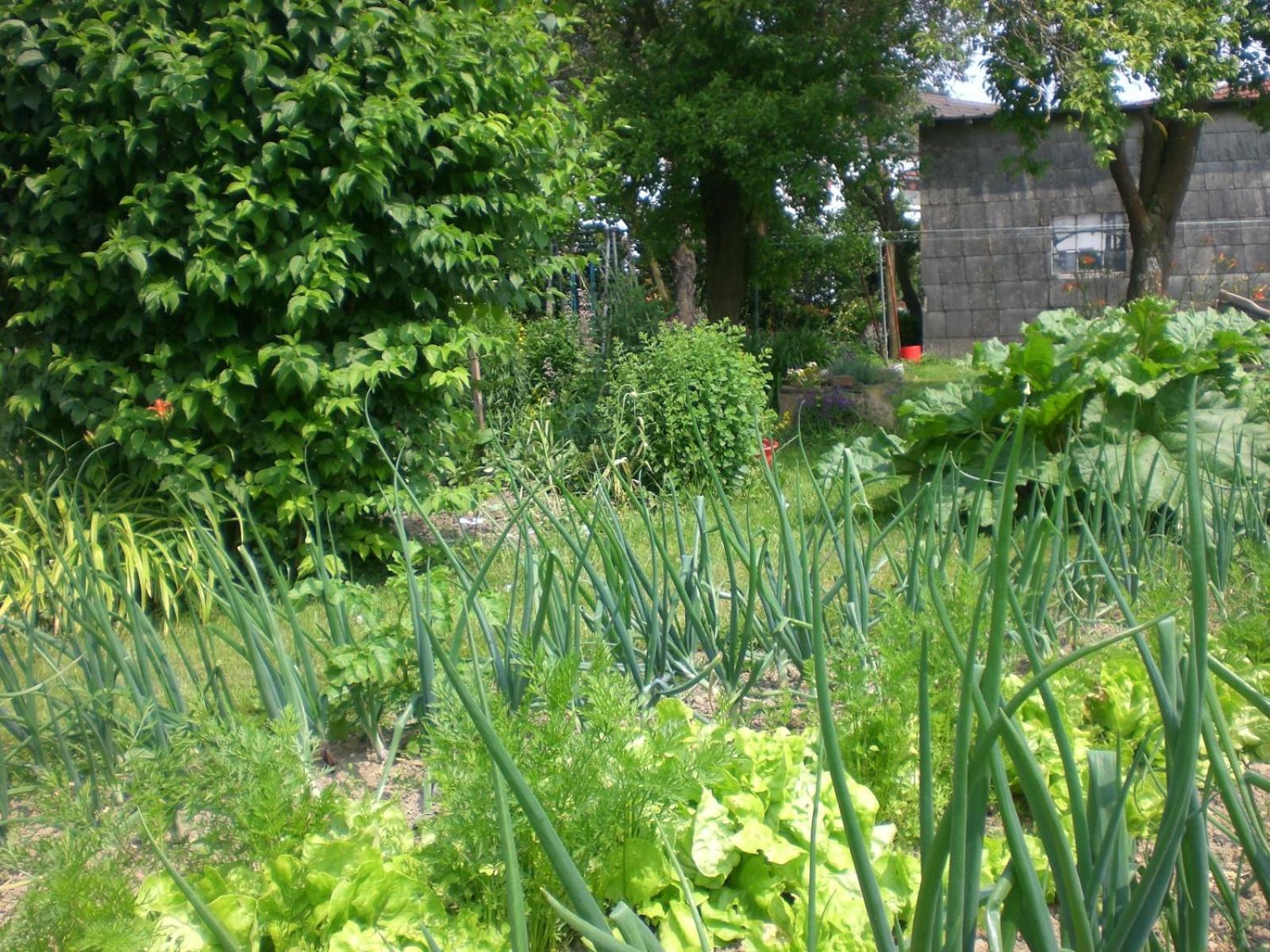 Ferienhof An Der Lay Kerpen  Exterior foto