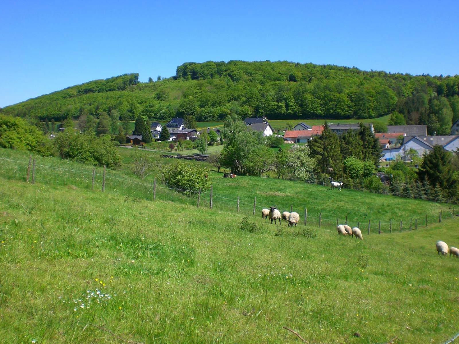 Ferienhof An Der Lay Kerpen  Exterior foto