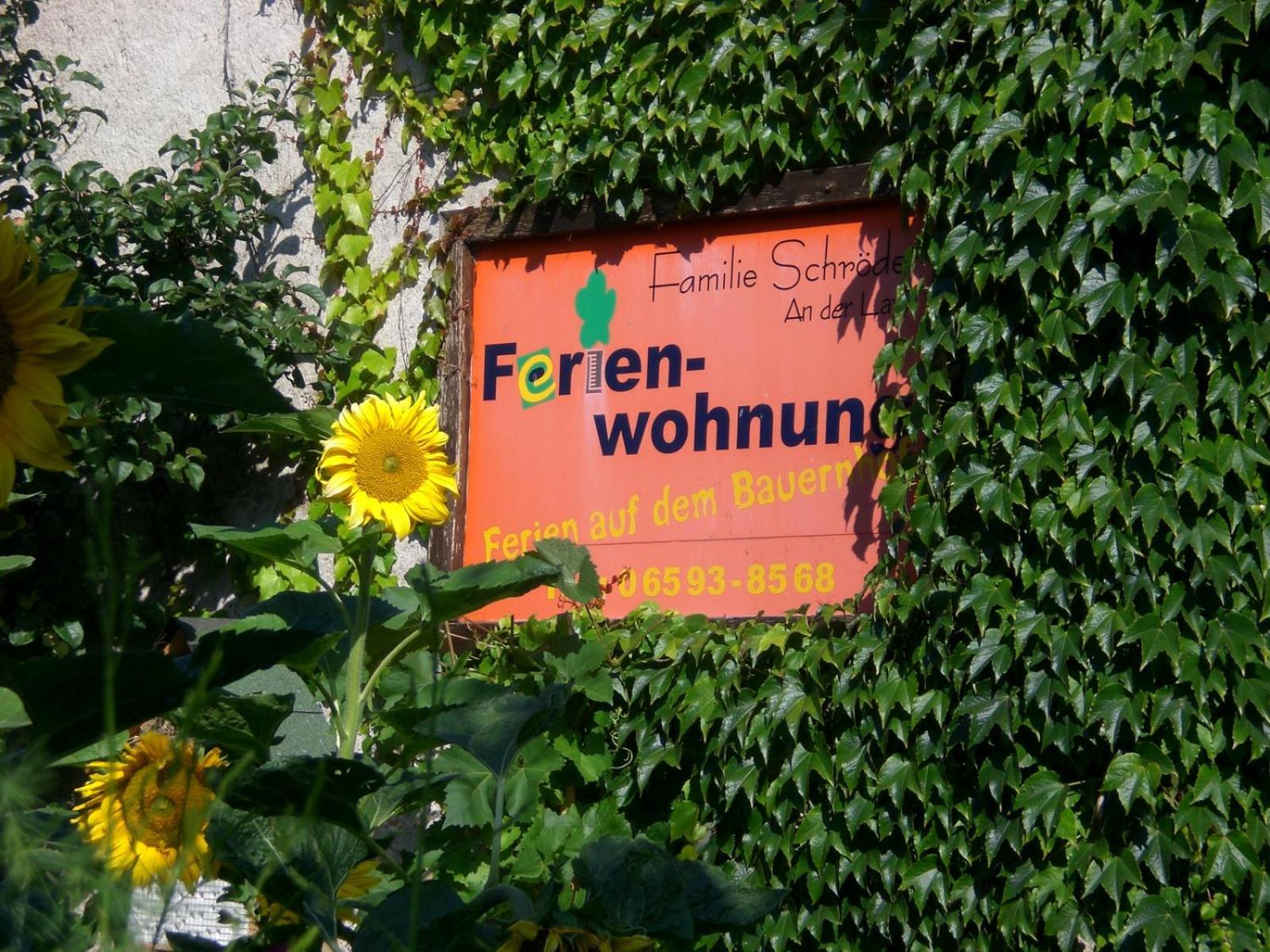 Ferienhof An Der Lay Kerpen  Exterior foto