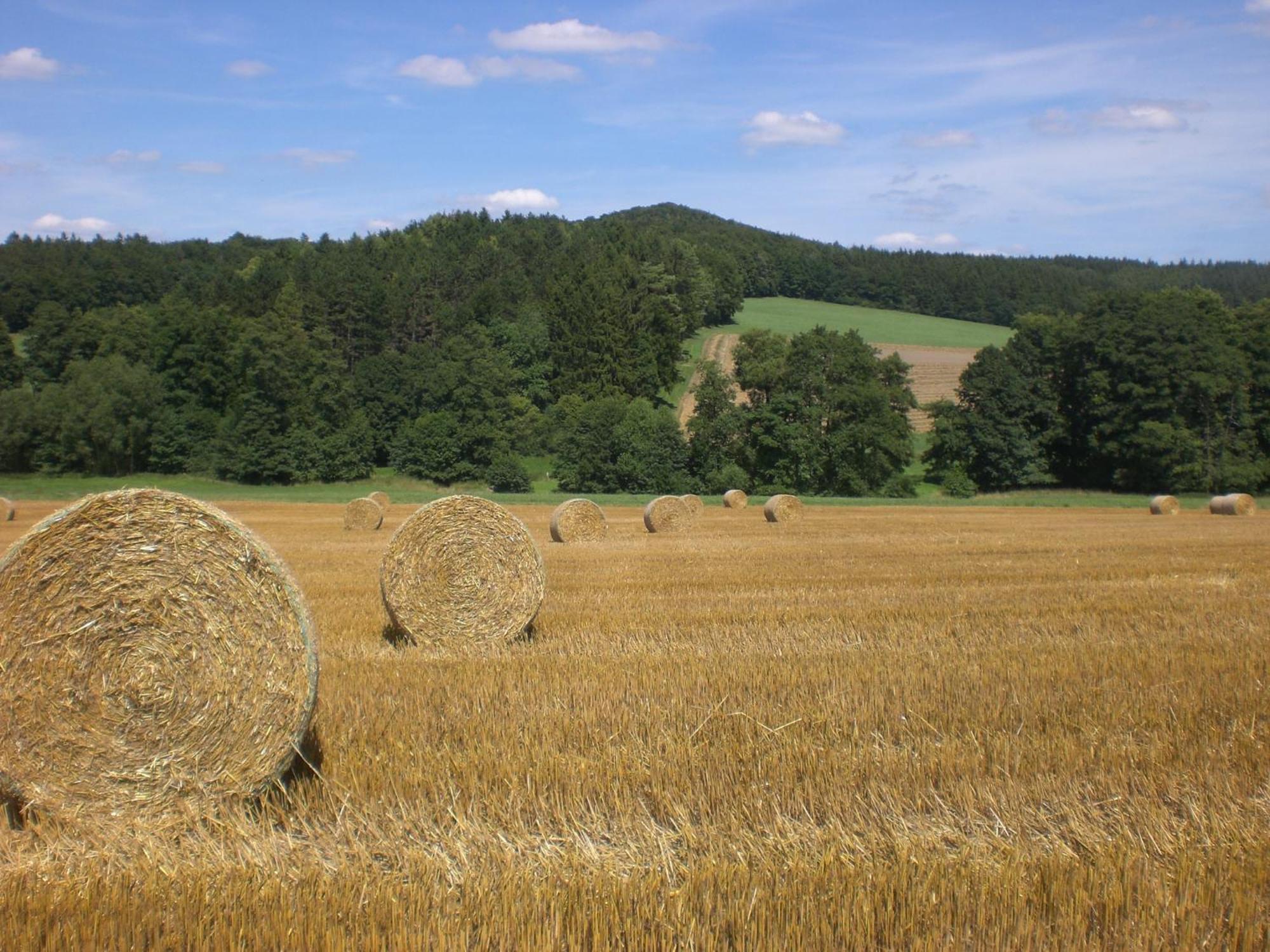 Ferienhof An Der Lay Kerpen  Exterior foto