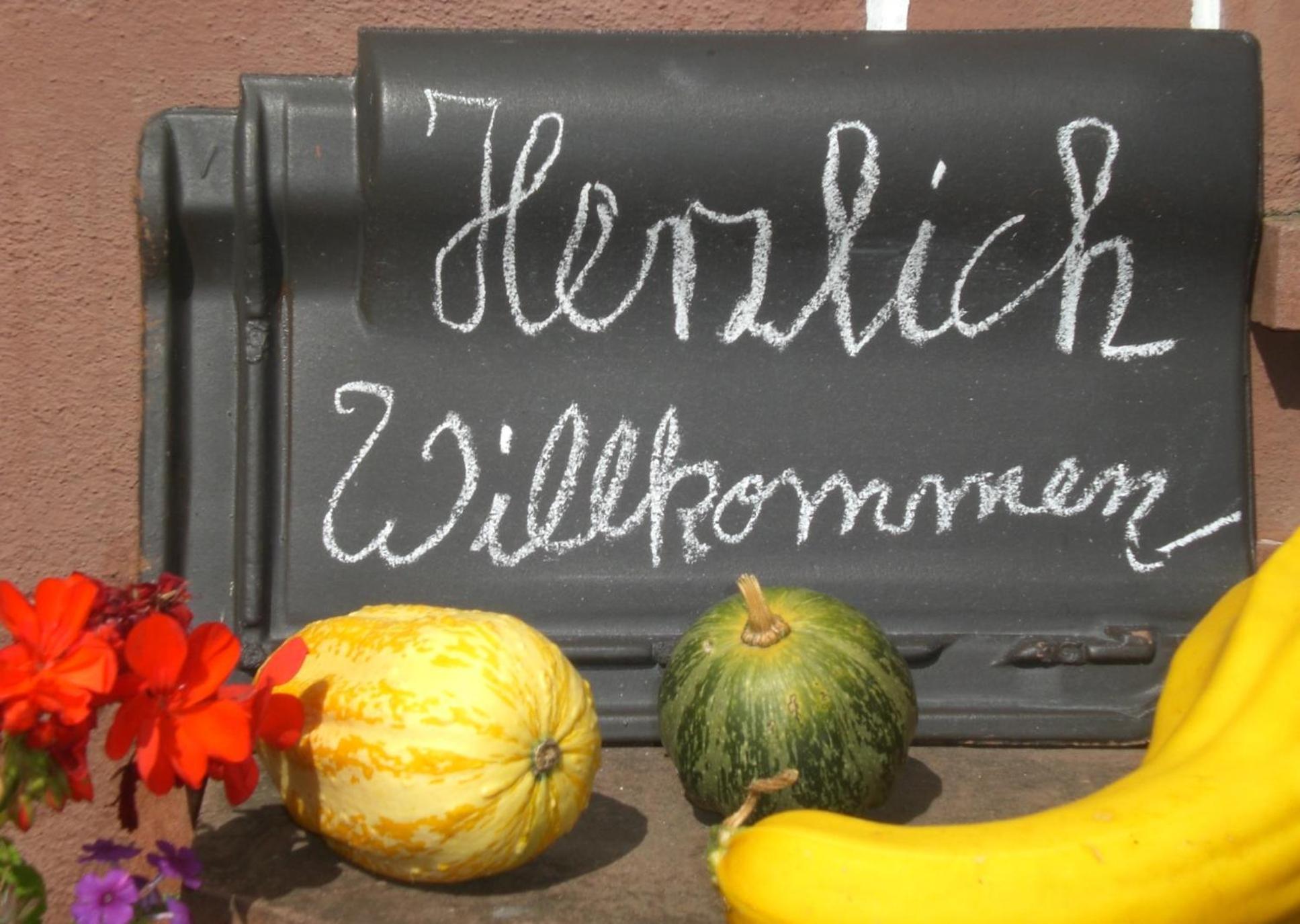 Ferienhof An Der Lay Kerpen  Exterior foto