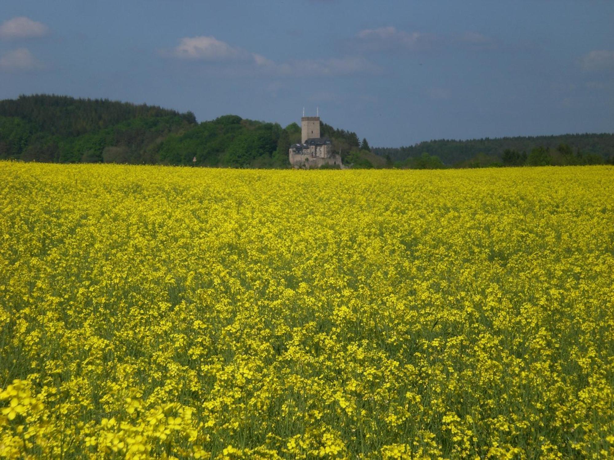 Ferienhof An Der Lay Kerpen  Exterior foto