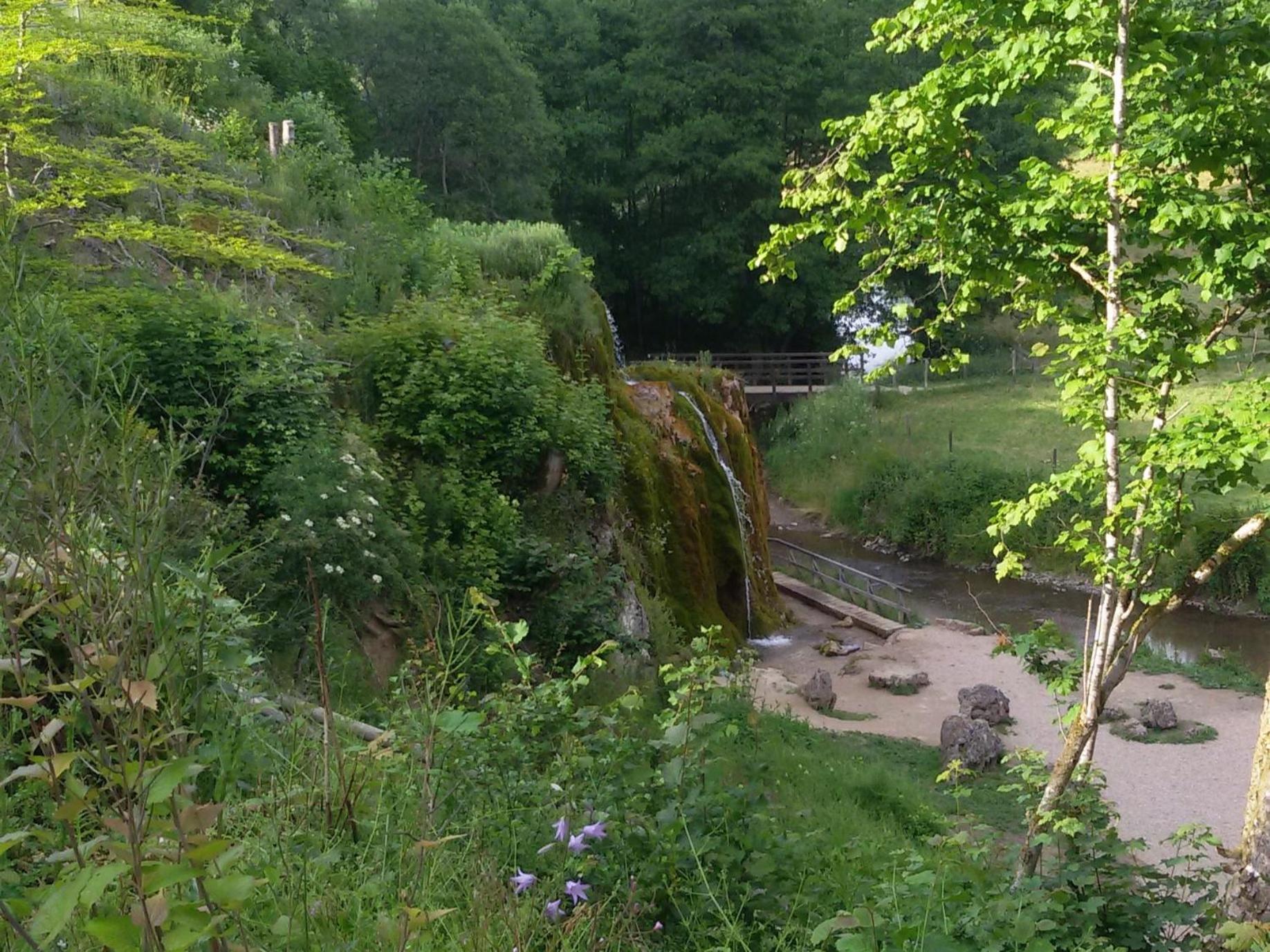 Ferienhof An Der Lay Kerpen  Exterior foto
